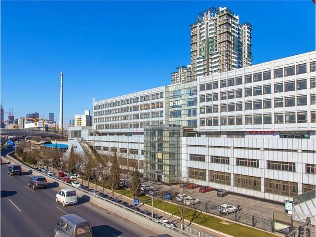 富阳区绿植花卉